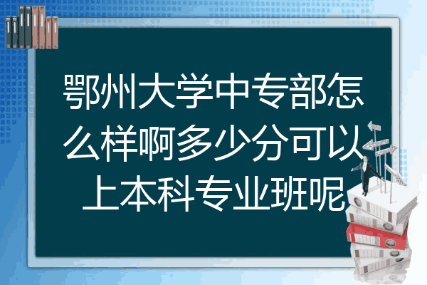 鄂州大学中专部怎么样啊多少分可以上本科专业班呢