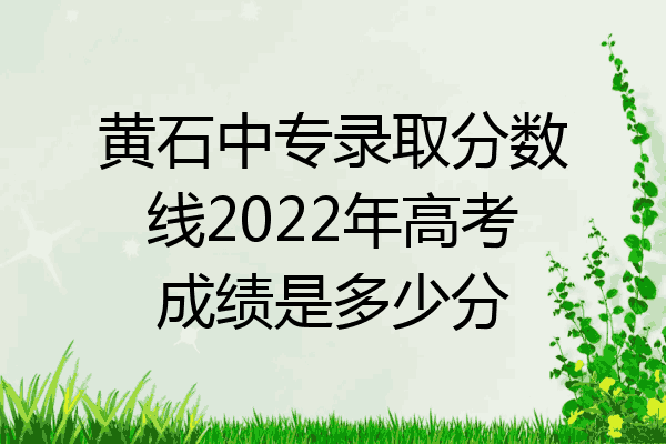 黄石中专录取分数线2022年高考成绩是多少分