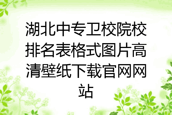湖北中专卫校院校排名表格式图片高清壁纸下载官网网站