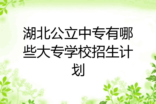 湖北公立中专有哪些大专学校招生计划