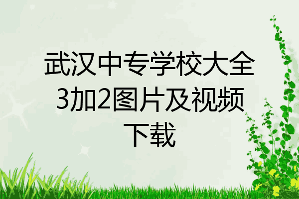 武汉中专学校大全3加2图片及视频下载