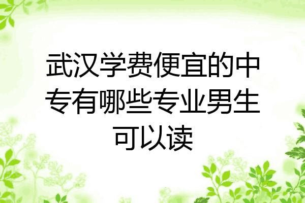 武汉学费便宜的中专有哪些专业男生可以读