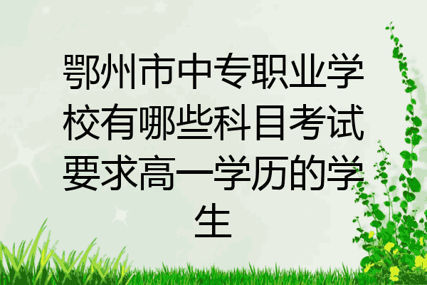 鄂州市中专职业学校有哪些科目考试要求高一学历的学生