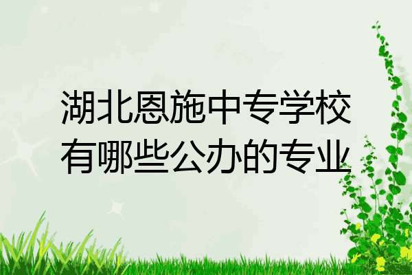 湖北恩施中专学校有哪些公办的专业