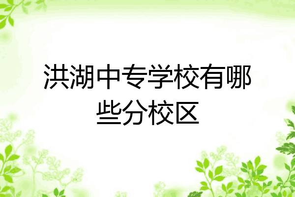 洪湖中专学校有哪些分校区