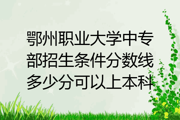 鄂州职业大学中专部招生条件分数线多少分可以上本科