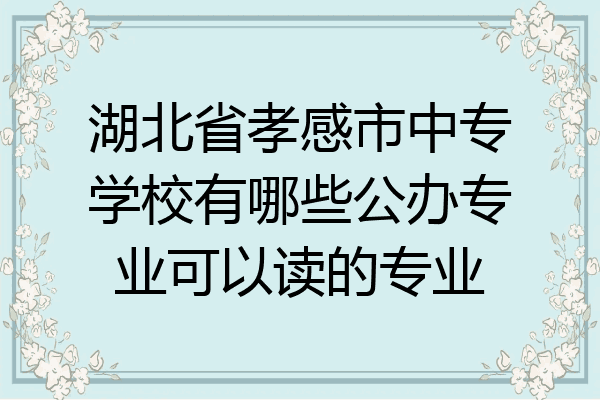 湖北省孝感市中专学校有哪些公办专业可以读的专业