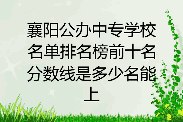襄阳公办中专学校名单排名榜前十名分数线是多少名能上