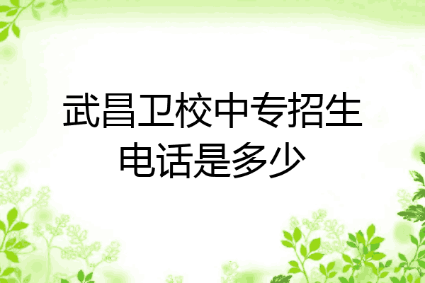 武昌卫校中专招生电话是多少