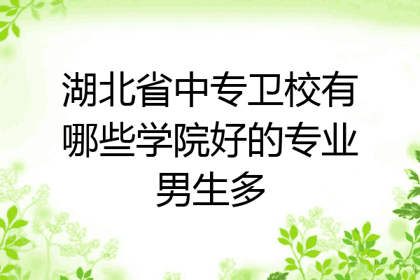 湖北省中专卫校有哪些学院好的专业男生多