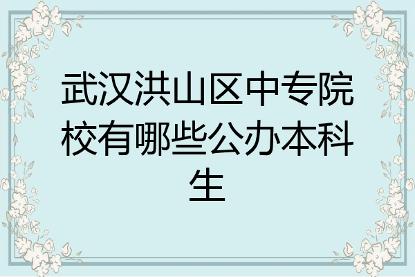 武汉洪山区中专院校有哪些公办本科生