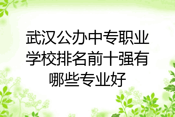 武汉公办中专职业学校排名前十强有哪些专业好