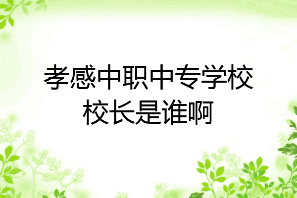 孝感中职中专学校校长是谁啊