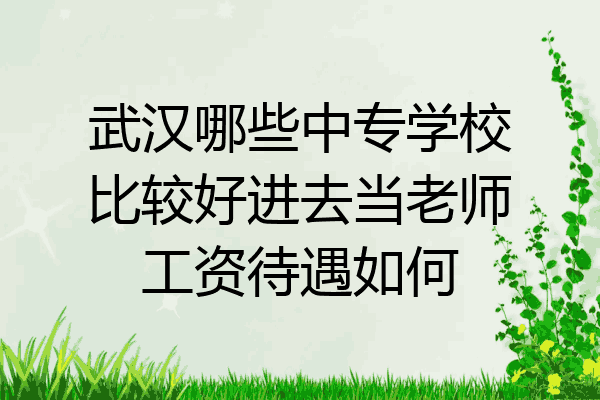 武汉哪些中专学校比较好进去当老师工资待遇如何