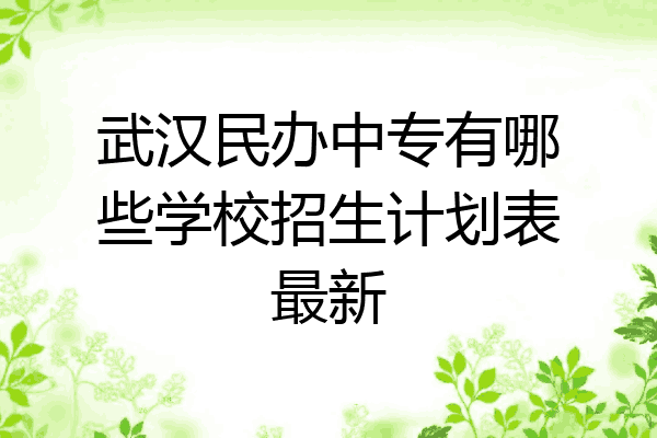 武汉民办中专有哪些学校招生计划表最新