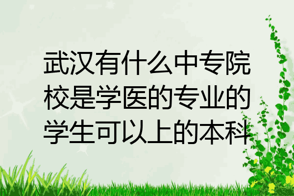 武汉有什么中专院校是学医的专业的学生可以上的本科
