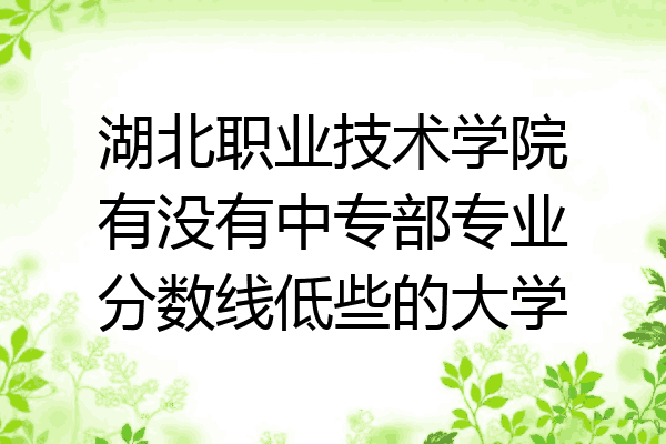 湖北职业技术学院有没有中专部专业分数线低些的大学