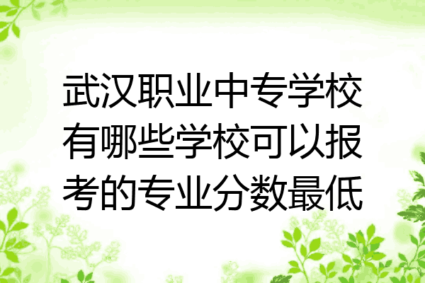 武汉职业中专学校有哪些学校可以报考的专业分数最低