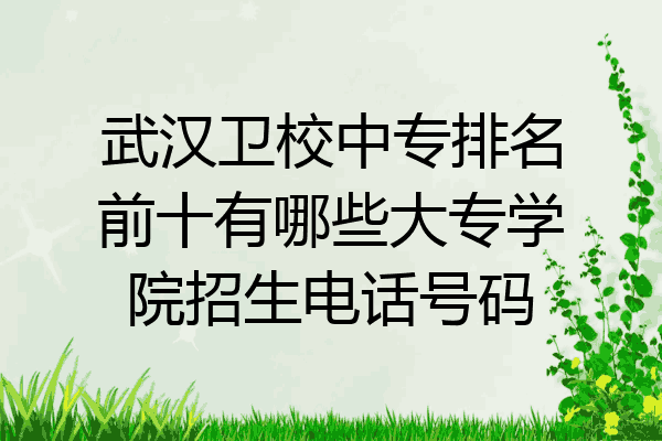 武汉卫校中专排名前十有哪些大专学院招生电话号码