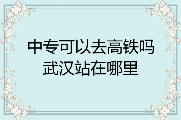 中专可以去高铁吗武汉站在哪里