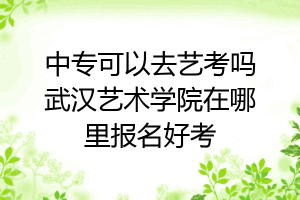 中专可以去艺考吗武汉艺术学院在哪里报名好考