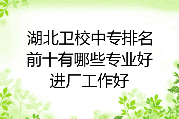 湖北卫校中专排名前十有哪些专业好进厂工作好
