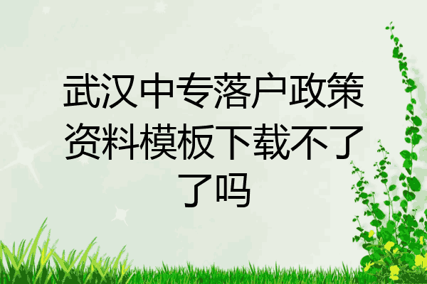 武汉中专落户政策资料模板下载不了了吗