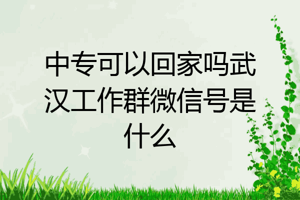 中专可以回家吗武汉工作群微信号是什么