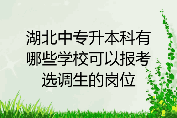 湖北中专升本科有哪些学校可以报考选调生的岗位