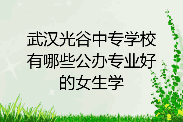 武汉光谷中专学校有哪些公办专业好的女生学