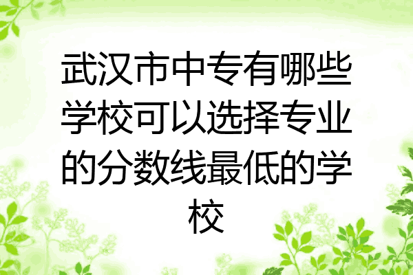 武汉市中专有哪些学校可以选择专业的分数线最低的学校