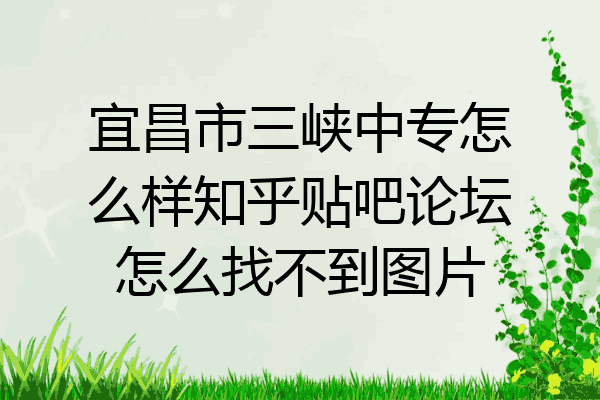 宜昌市三峡中专怎么样知乎贴吧论坛怎么找不到图片