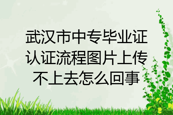 武汉市中专毕业证认证流程图片上传不上去怎么回事