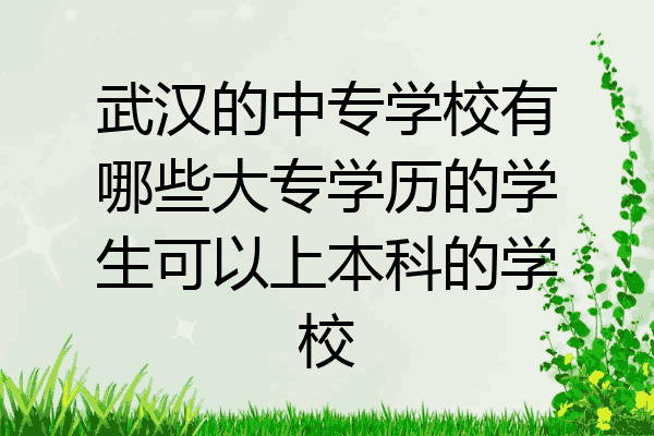 武汉的中专学校有哪些大专学历的学生可以上本科的学校