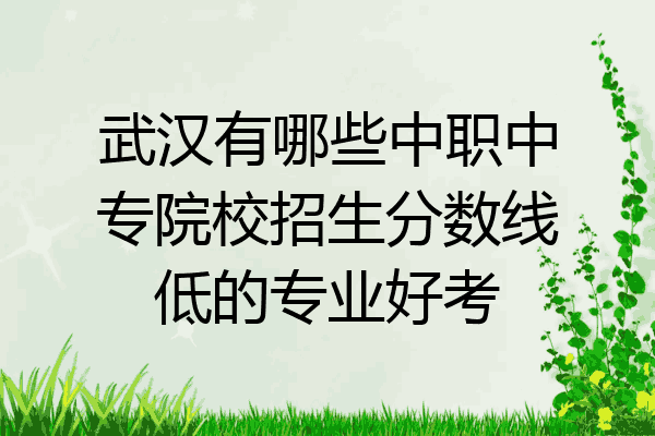 武汉有哪些中职中专院校招生分数线低的专业好考