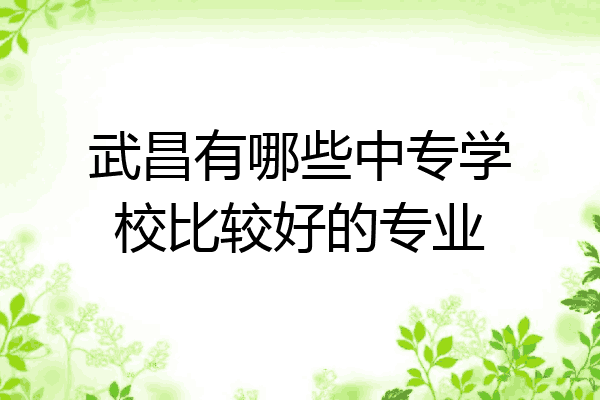 武昌有哪些中专学校比较好的专业