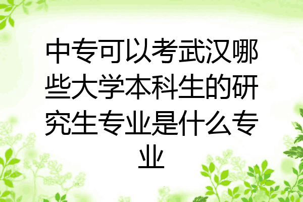 中专可以考武汉哪些大学本科生的研究生专业是什么专业