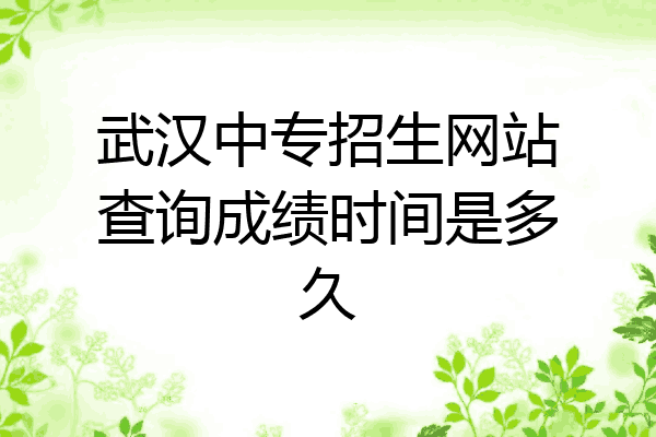 武汉中专招生网站查询成绩时间是多久