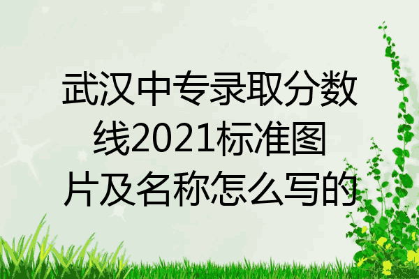 武汉中专录取分数线2021标准图片及名称怎么写的