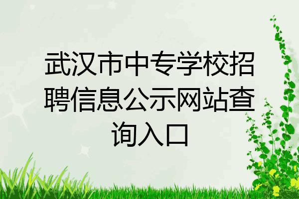 武汉市中专学校招聘信息公示网站查询入口