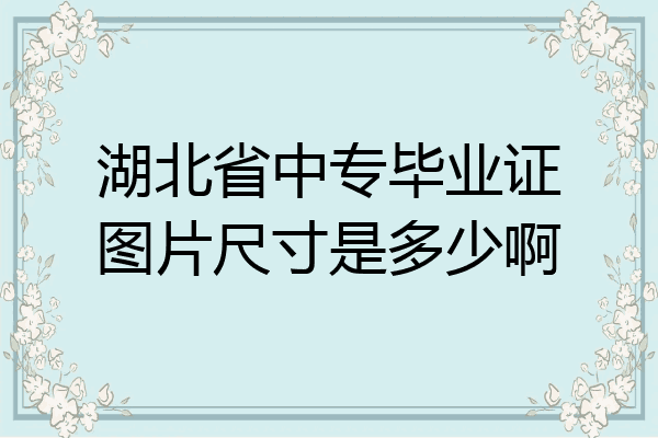 湖北省中专毕业证图片尺寸是多少啊