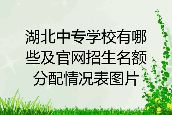 湖北中专学校有哪些及官网招生名额分配情况表图片
