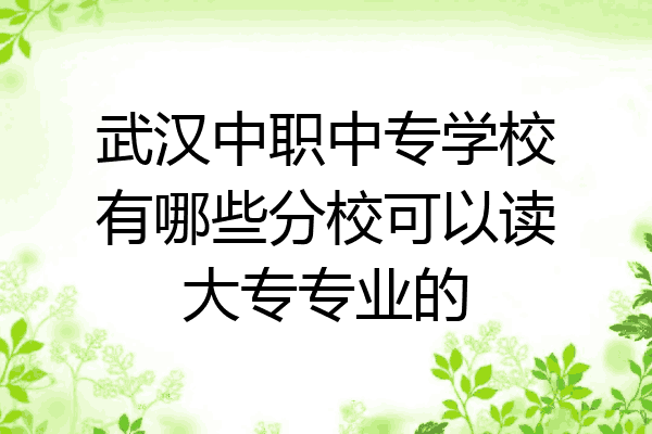 武汉中职中专学校有哪些分校可以读大专专业的