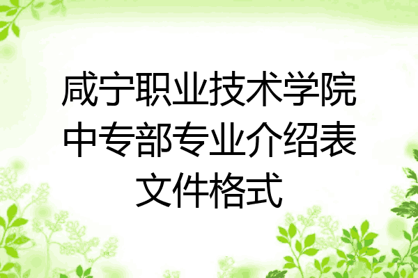 咸宁职业技术学院中专部专业介绍表文件格式