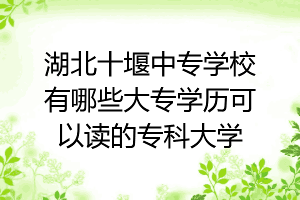 湖北十堰中专学校有哪些大专学历可以读的专科大学