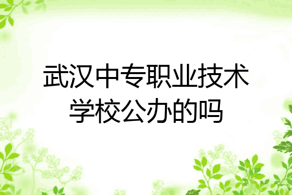 武汉中专职业技术学校公办的吗