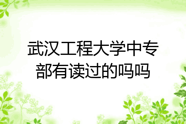 武汉工程大学中专部有读过的吗吗