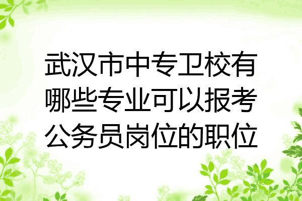 武汉市中专卫校有哪些专业可以报考公务员岗位的职位