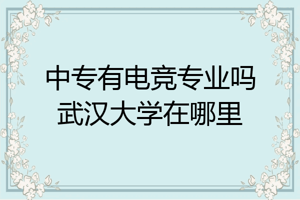 中专有电竞专业吗武汉大学在哪里