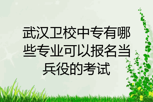 武汉卫校中专有哪些专业可以报名当兵役的考试